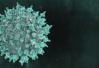 What is known about monkeypox