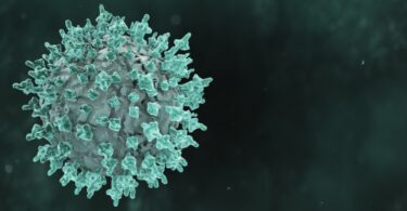 What is known about monkeypox