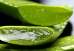 Five Herbs to Block Joint Pain