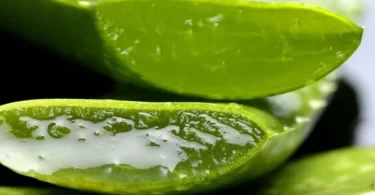 Five Herbs to Block Joint Pain