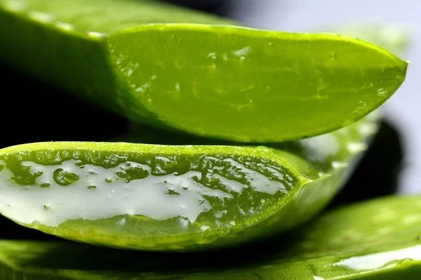 Five Herbs to Block Joint Pain